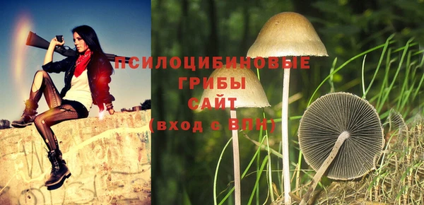 метамфетамин Алексеевка
