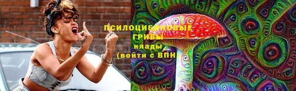 ECSTASY Алзамай