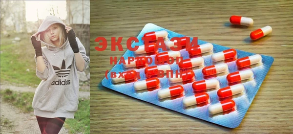 ECSTASY Алзамай