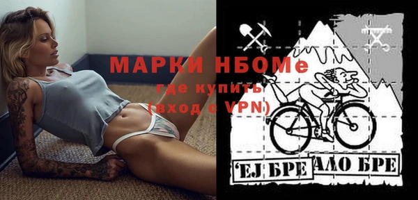 ECSTASY Алзамай