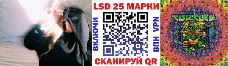Марки N-bome 1,8мг  где можно купить   Петропавловск-Камчатский 