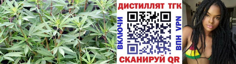 Дистиллят ТГК вейп Петропавловск-Камчатский