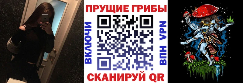 закладка  Петропавловск-Камчатский  Галлюциногенные грибы Magic Shrooms 