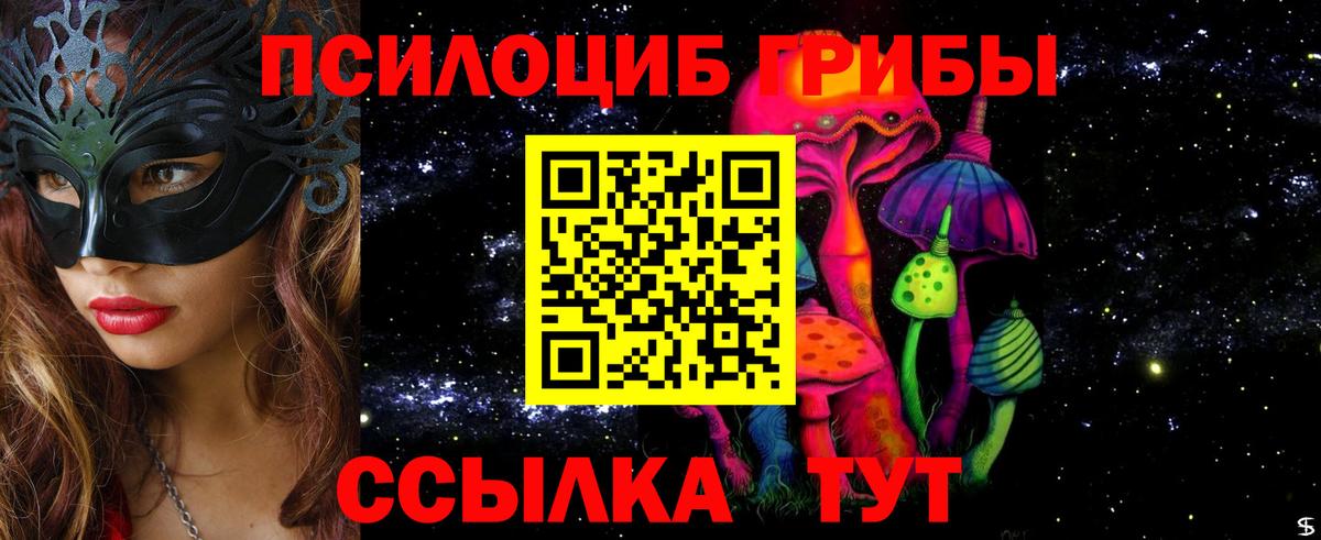 Галлюциногенные грибы Cubensis Петропавловск-Камчатский