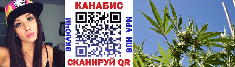Шишки марихуана план  Петропавловск-Камчатский 