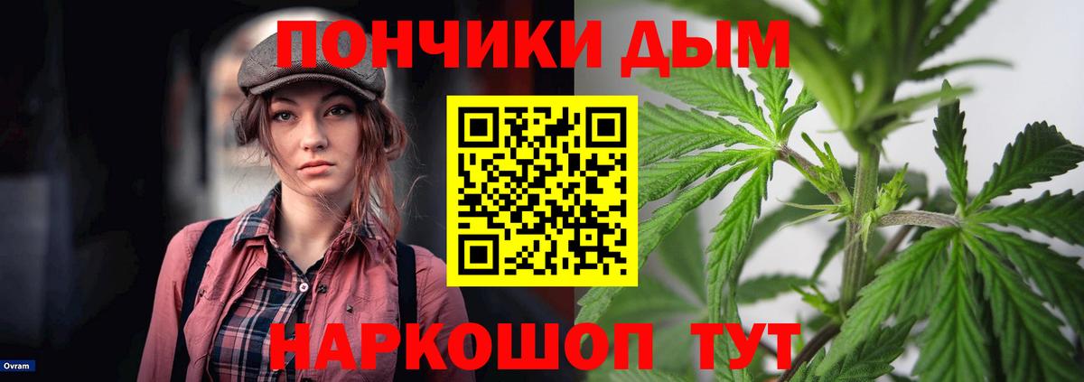 Канабис конопля  Бошки Шишки семена  Петропавловск-Камчатский  Вход с VPN  Марихуана SATIVA & INDICA  Бошки марихуана ГИДРОПОН 